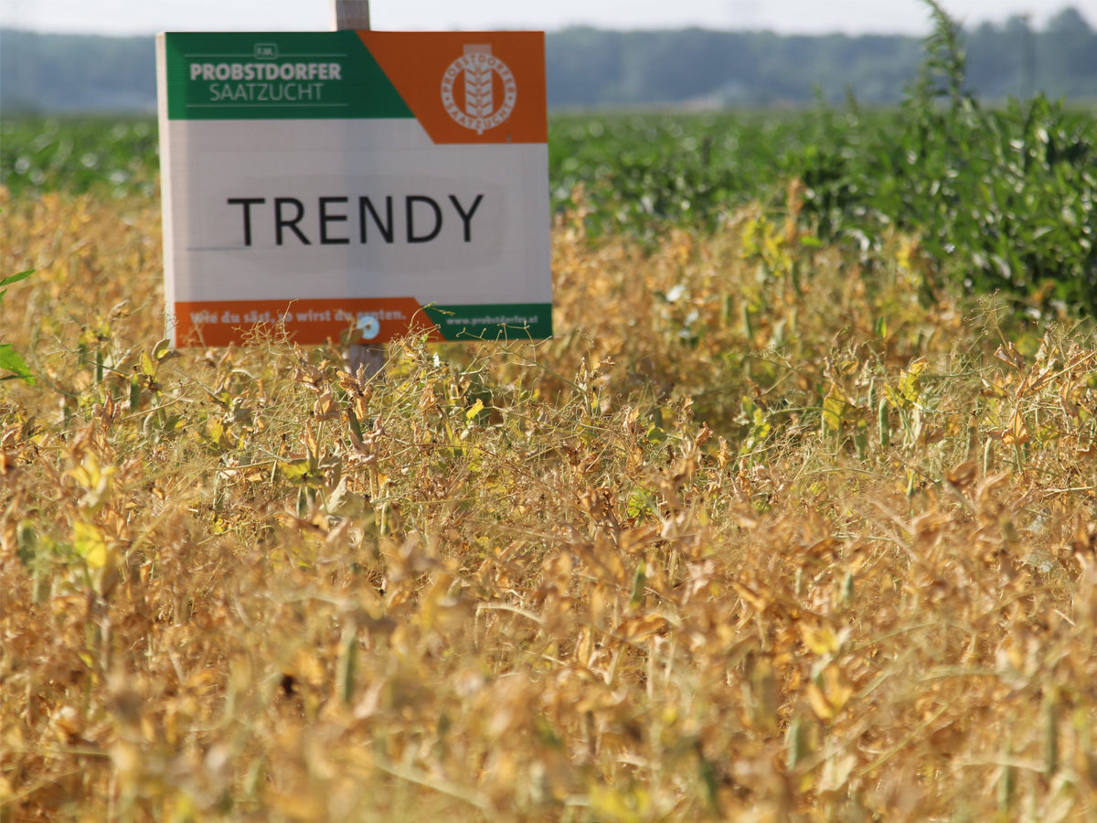 trendІ